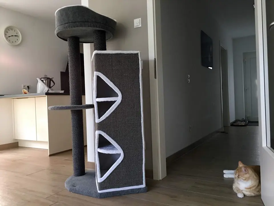 Kratzbaum Hugo von Trixie im Wohnzimmer, davor liegt Leo auf dem Boden