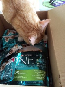 Purina One Katzenfutter Test - Das Paket
